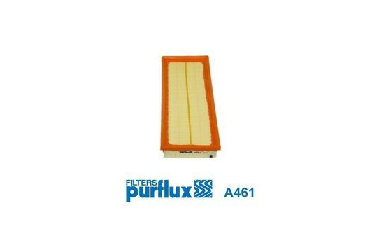 Air Filter A461 Purflux