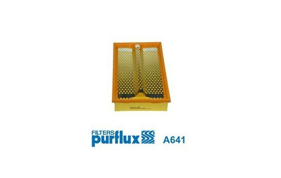 Air Filter A641 Purflux