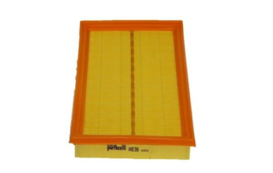 Air Filter A838 Purflux
