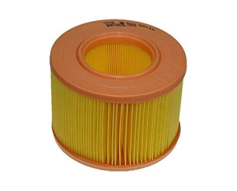 Air Filter A844 Purflux