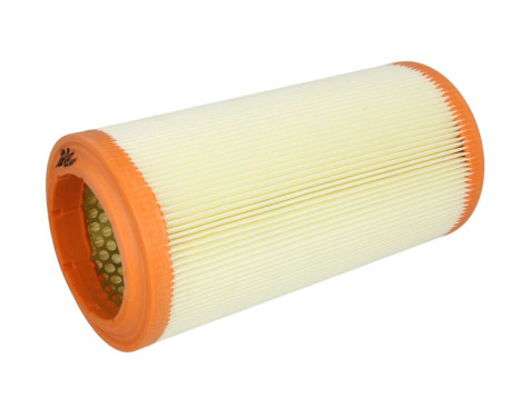 Air Filter A859 Purflux