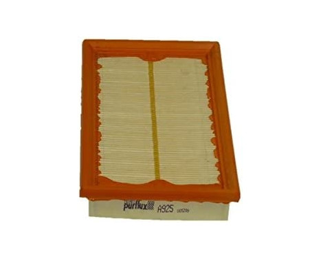 Air Filter A925 Purflux