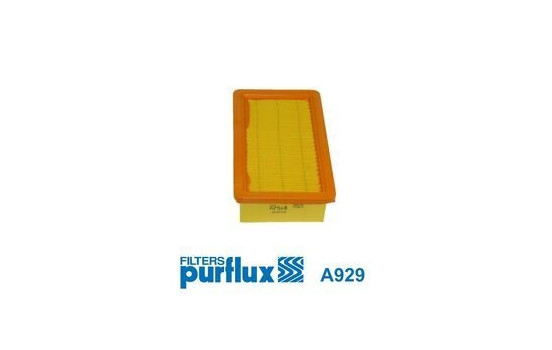 Air Filter A929 Purflux
