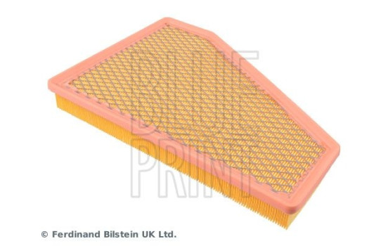 Air Filter ADA102205 Blue Print, Image 3