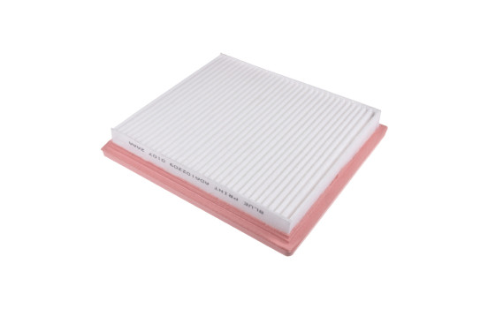 Air Filter ADA102209 Blue Print, Image 2