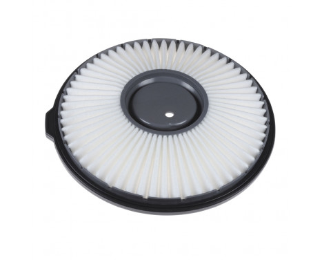 Air Filter ADD62212 Blue Print