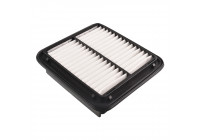 Air Filter ADD62217 Blue Print