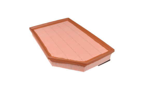 Air Filter ADF122204 Blue Print