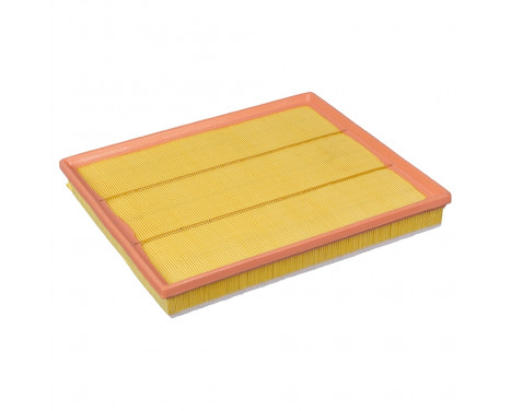 Air Filter ADF122234 Blue Print