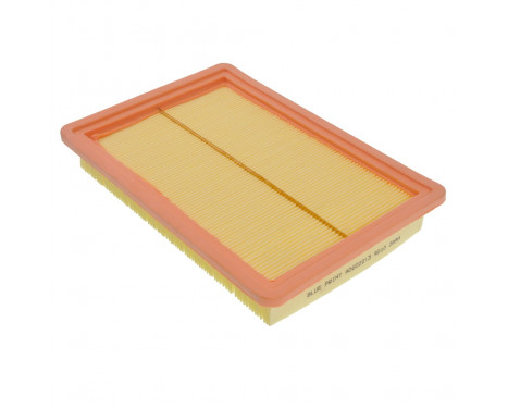 Air Filter ADG02213 Blue Print