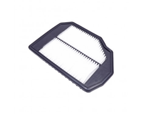 Air Filter ADG022160 Blue Print