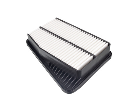 Air Filter ADG022170 Blue Print, Image 2