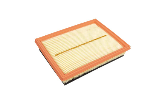 Air Filter ADG02251 Blue Print