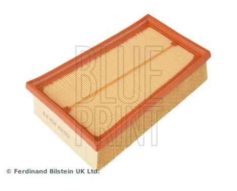 Air Filter ADN12256 Blue Print, Image 3