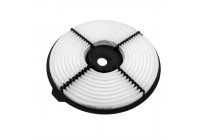 Air Filter ADT32226 Blue Print