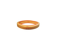 Air filter AR 036/1 Filtron