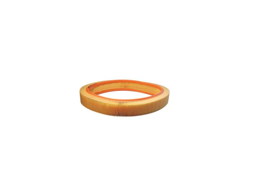 Air filter AR 036/1 Filtron