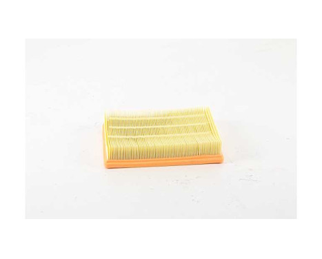 Air filter BSG 15-135-018