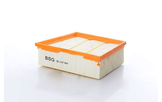 Air filter BSG 30-137-007