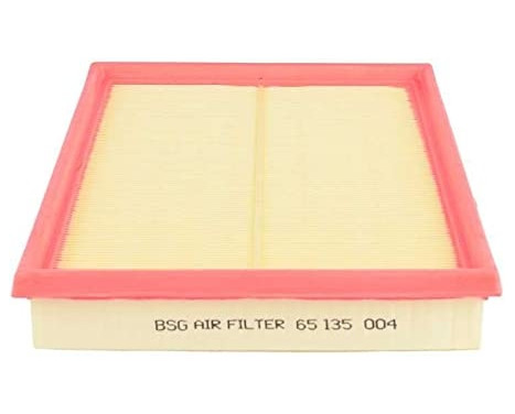 Air filter BSG 65-135-004