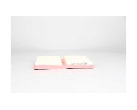 Air filter BSG 90-135-024