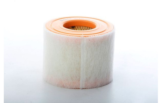 Air filter BSG 90-135-030