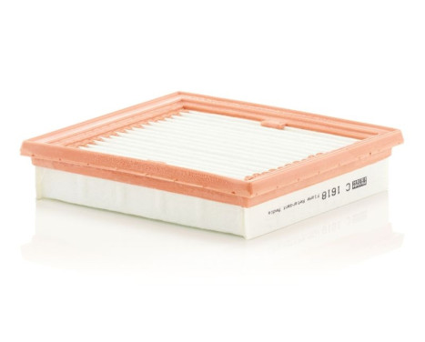 Air Filter C 1618 Mann, Image 2