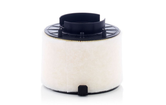 Air Filter C 17 009 MANN-FILTER, Image 2