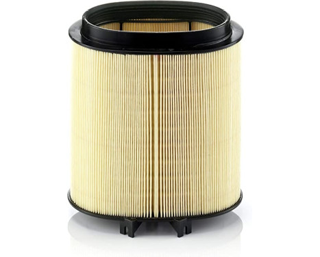 Air Filter C 1869 Mann