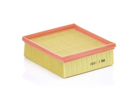 Air Filter C 1880 Mann, Image 2