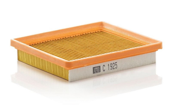 Air Filter C 1925 Mann, Image 2