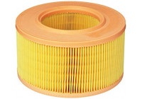 Air Filter C 1996 Mann