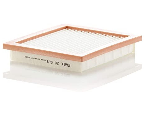 Air Filter C 20 029 Mann