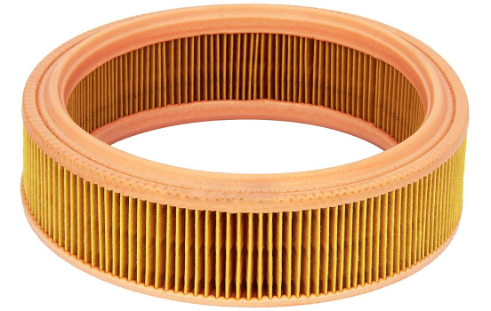 Air Filter C 2021 MANN-FILTER