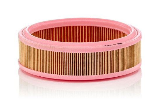 Air Filter C 2021 MANN-FILTER, Image 2