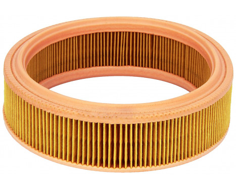 Air Filter C 2021 Mann