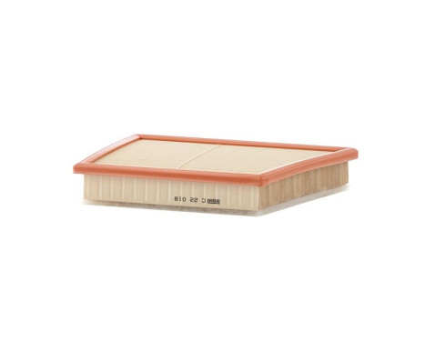 Air Filter C 22 018 Mann, Image 2
