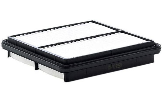 Air Filter C 2229 Mann