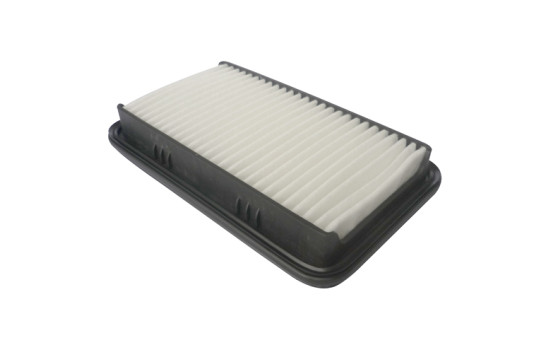 Air Filter C 24 019 Mann