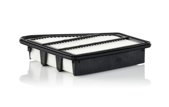 Air filter C 24 075 Mann