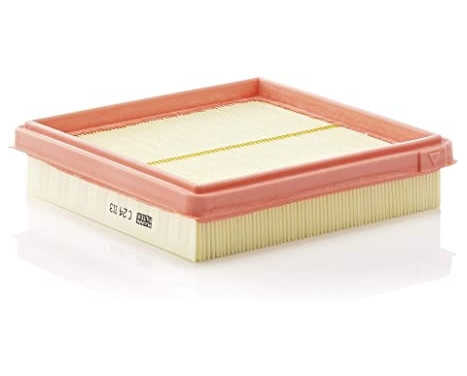 Air Filter C 24 113 Mann