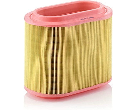Air Filter C 24 196 Mann