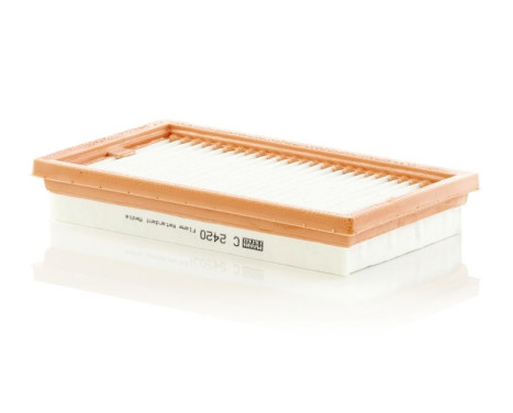 Air Filter C 2420 Mann, Image 3
