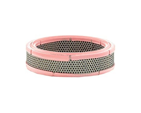 Air Filter C 2443 Mann