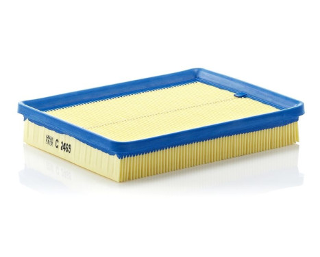 Air Filter C 2469 Mann, Image 2