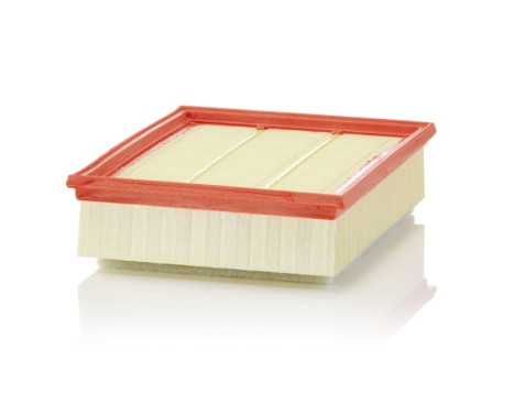 Air Filter C 25 018 Mann, Image 2