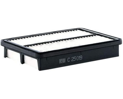 Air Filter C 25 019 Mann