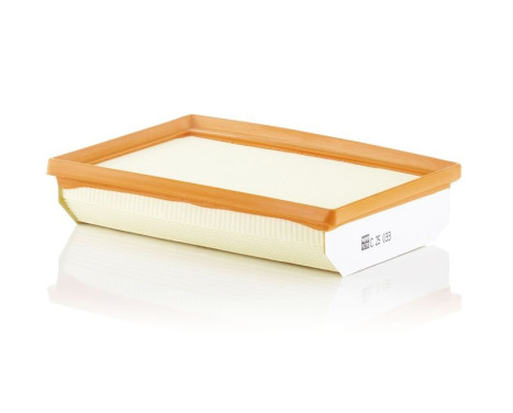 Air Filter C 25 033 Mann, Image 2