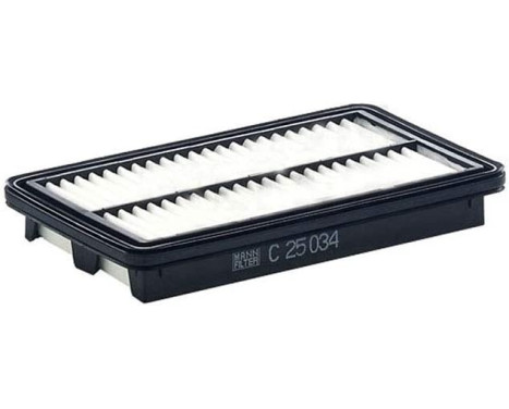 Air Filter C 25 034 Mann