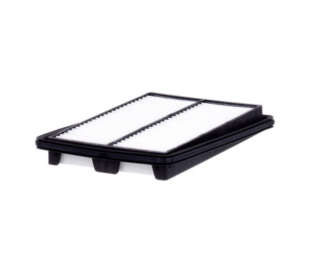 Air Filter C 25 040 Mann, Image 3